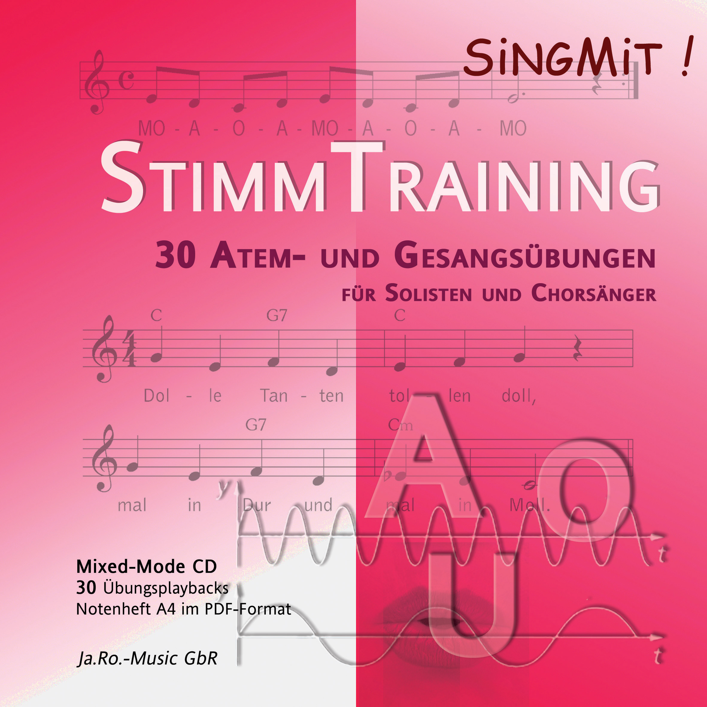 Singen wie die Stars Singen wie die Stars
